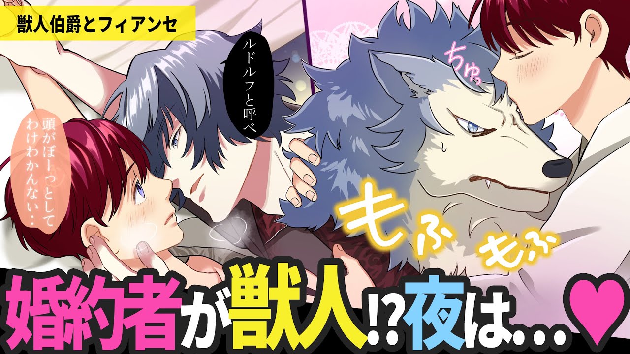 ギャップ萌！？満月になると変身する伯爵と庶民出身の婚約者❤️二人の出会いはもっと昔に…【BLアニメ】