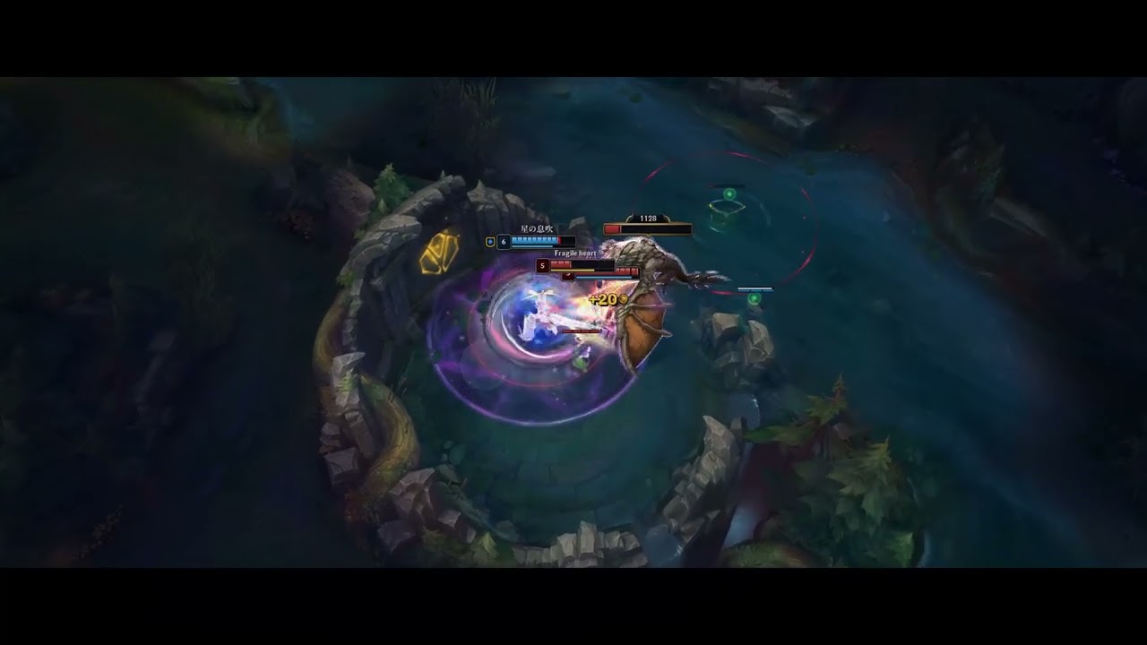 Montage series Ⅲ【Jungler】