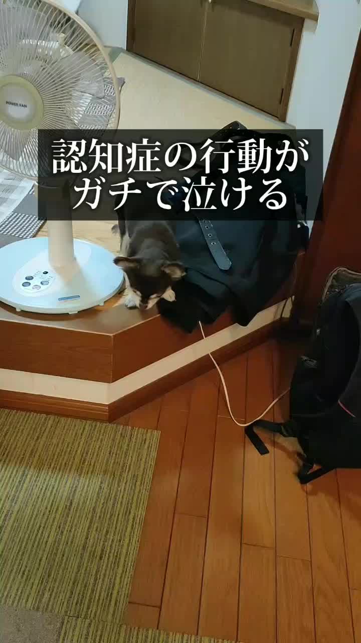 台本、特集