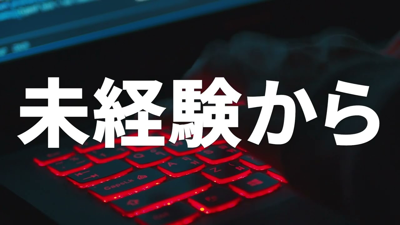 (16:9) YouTube広告