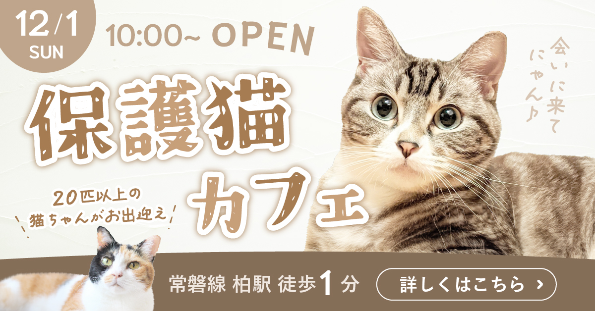 【架空】保護猫カフェ バナー-1