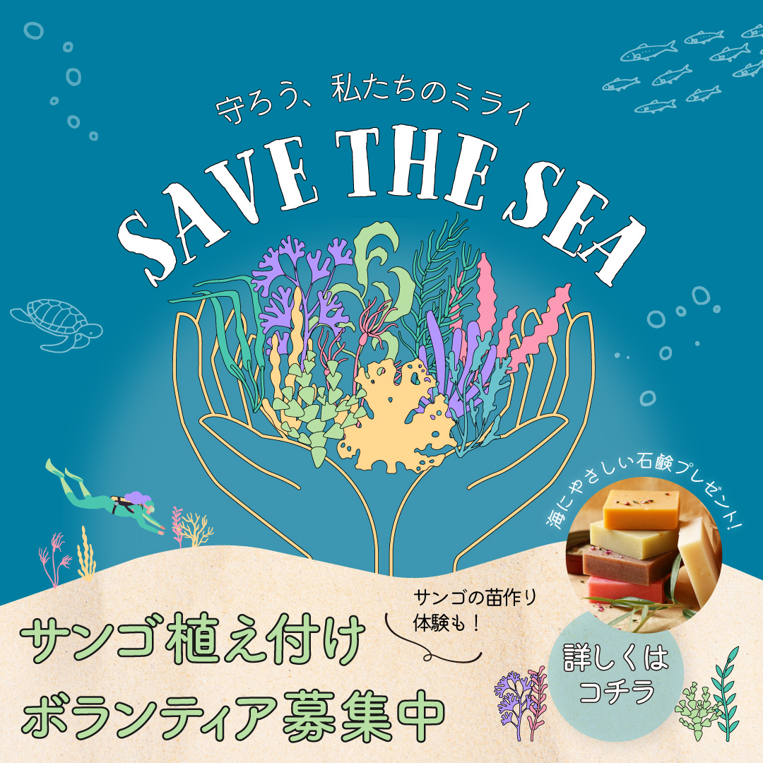 SDGs　サンゴの植え付けボランティア募集のバナー-1