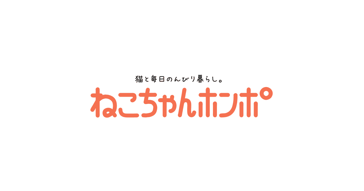 メカ、東日本大震災