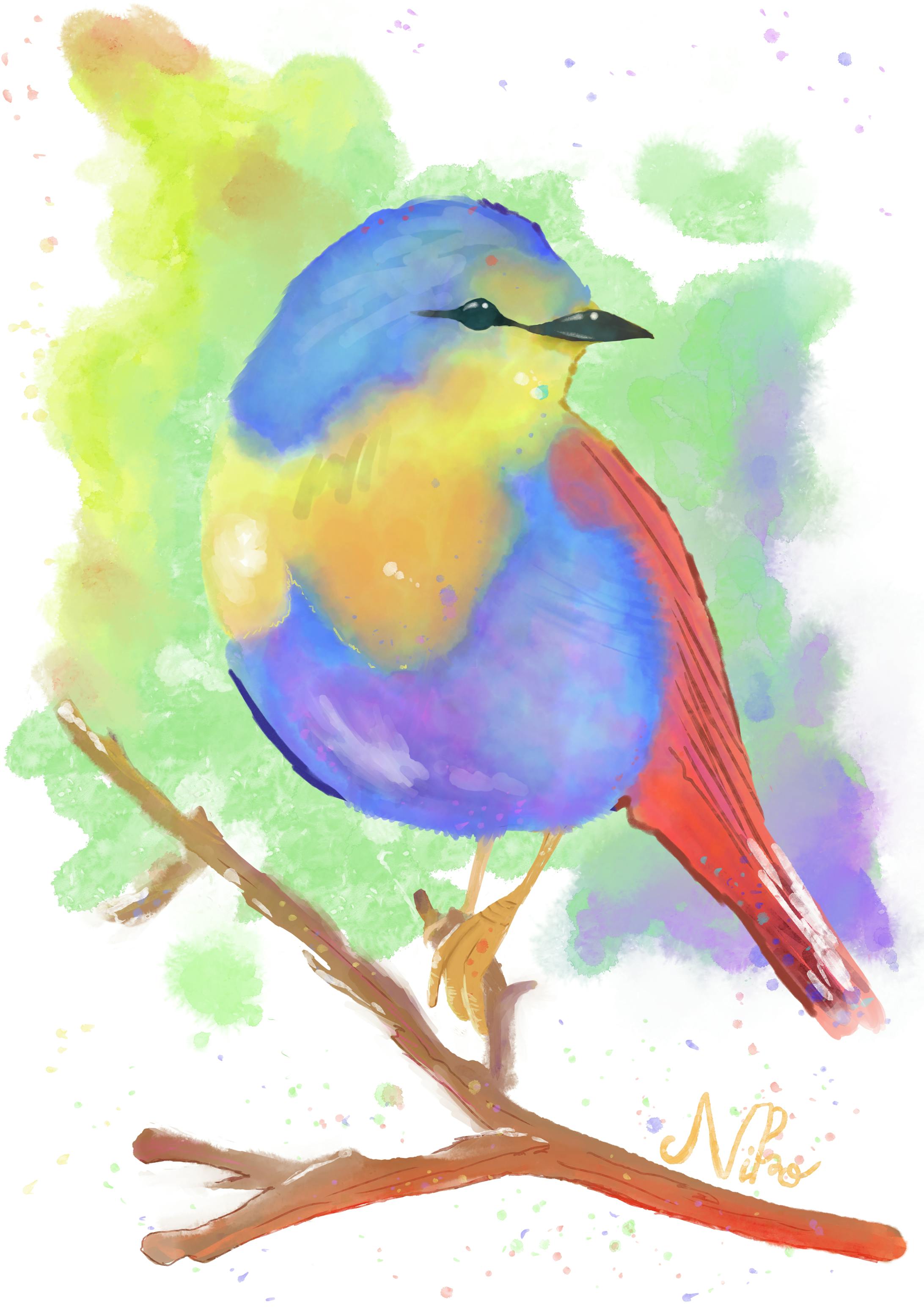 水彩イラスト 鳥 水彩イラスト 鳥