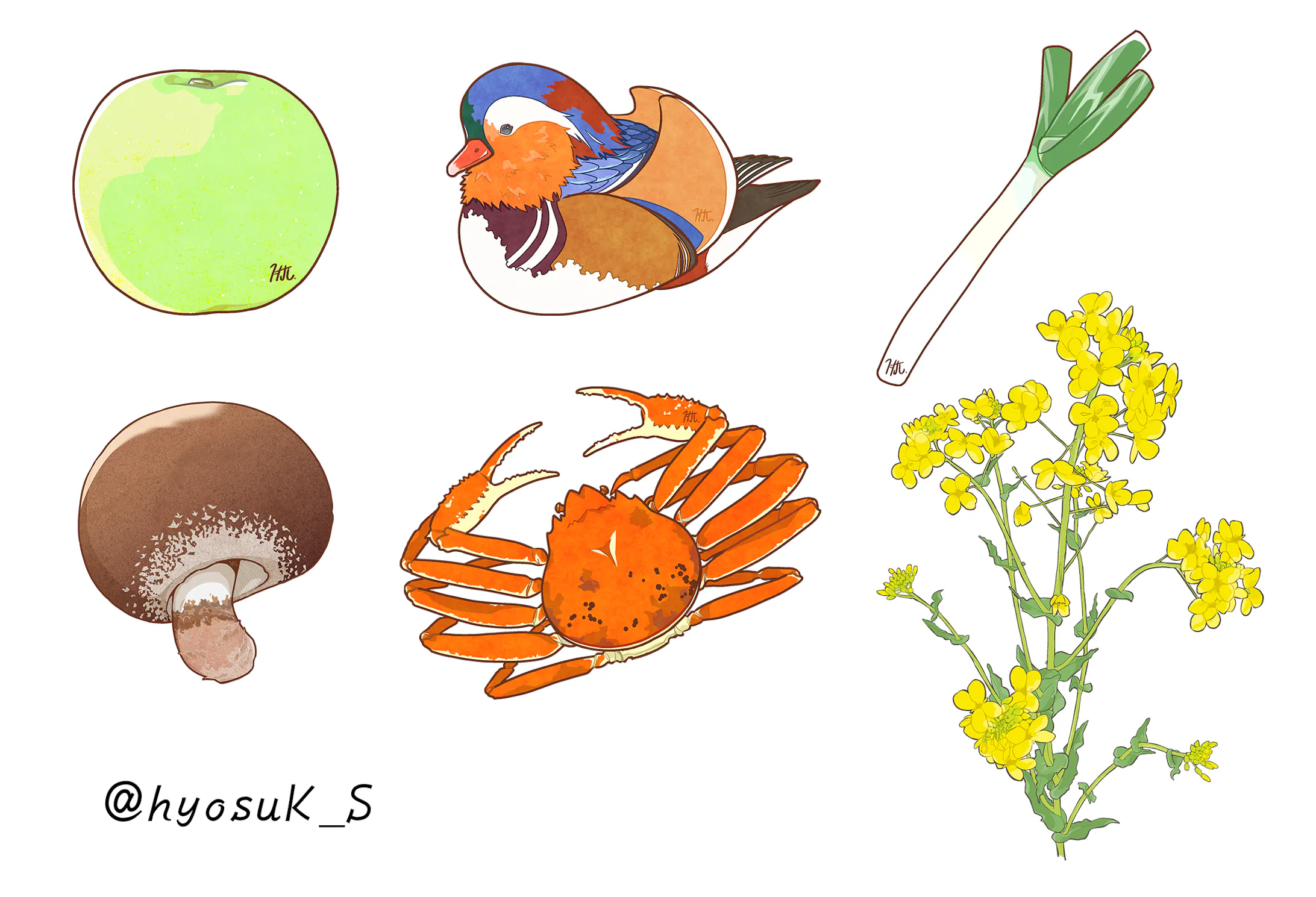 生き物 植物イラスト