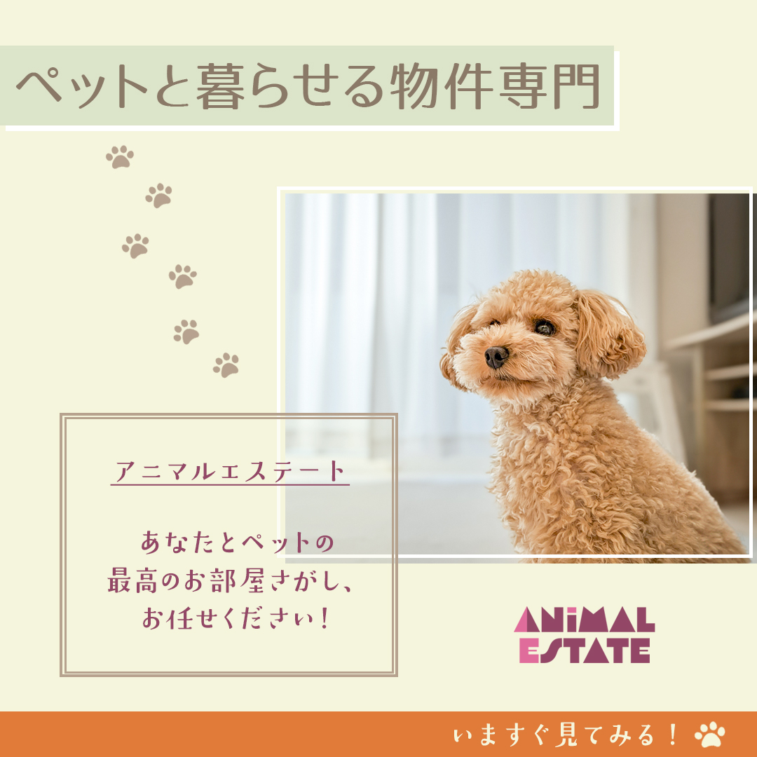 〖バナー〗instagram広告物件情報：Web鍛練習テーマ-1