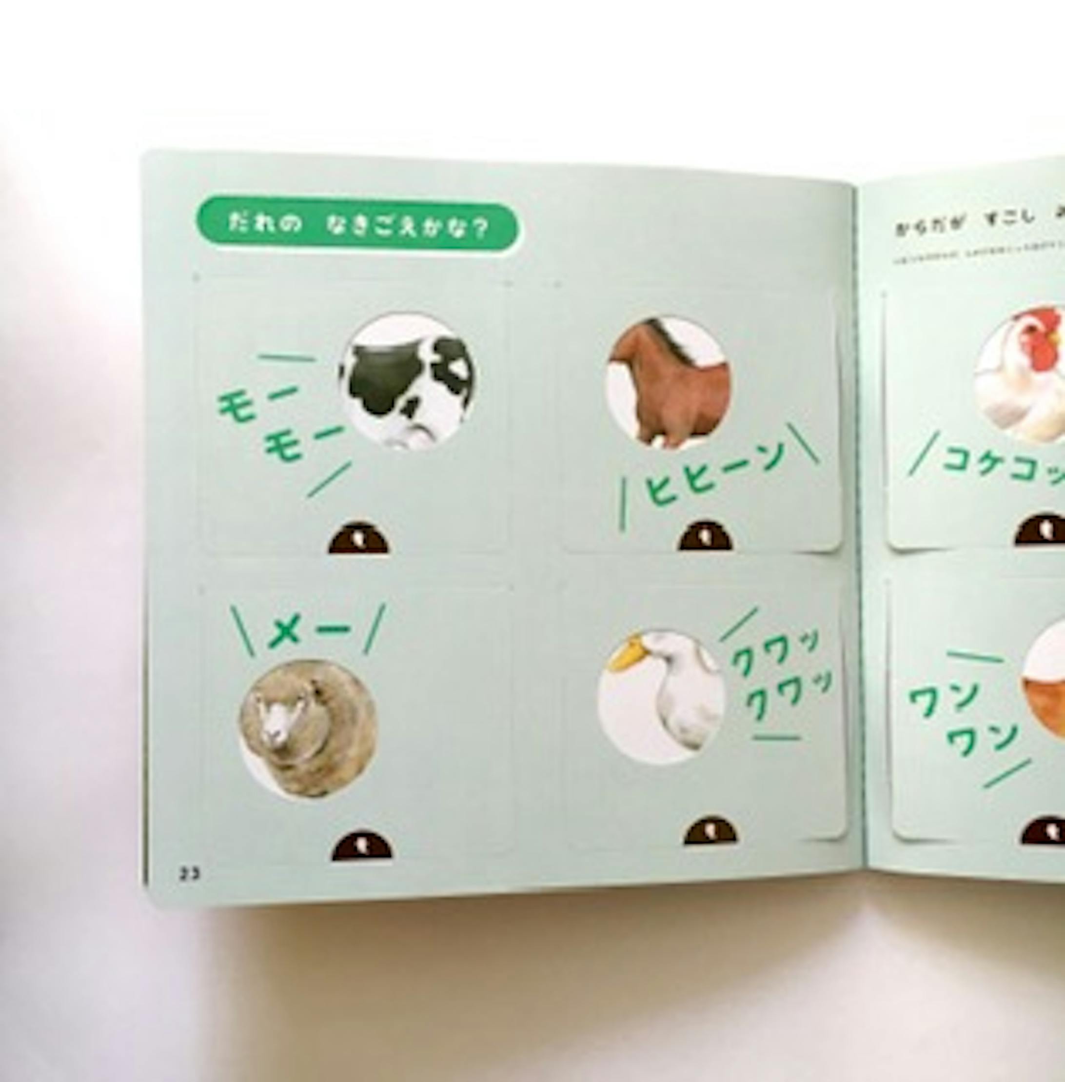 めくると動物がわかります。