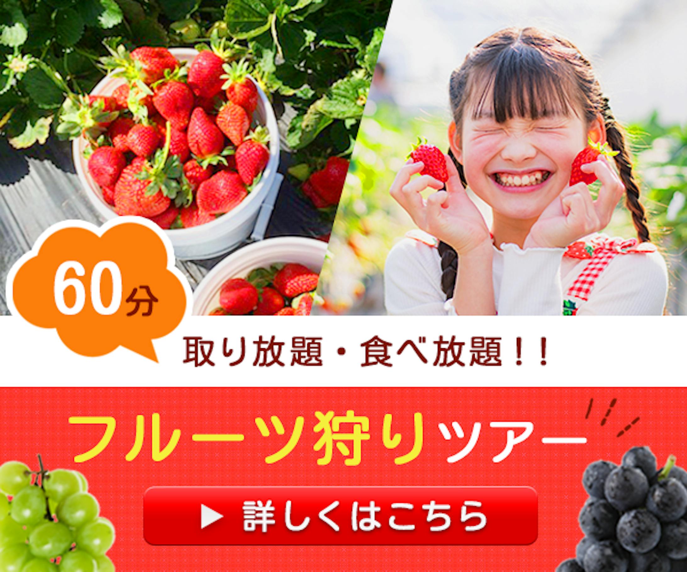 【バナー】フルーツ狩りツアー-1