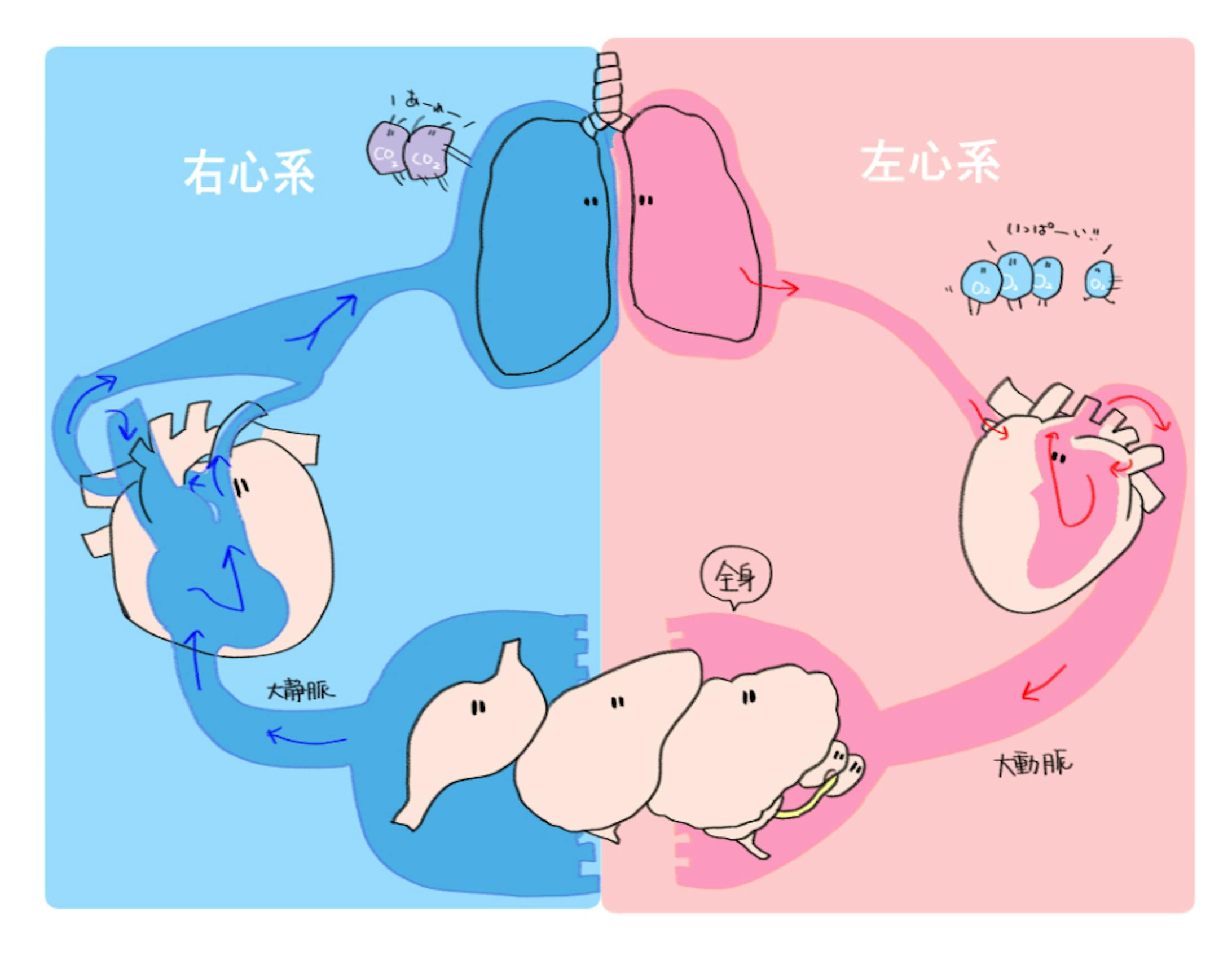 循環とは