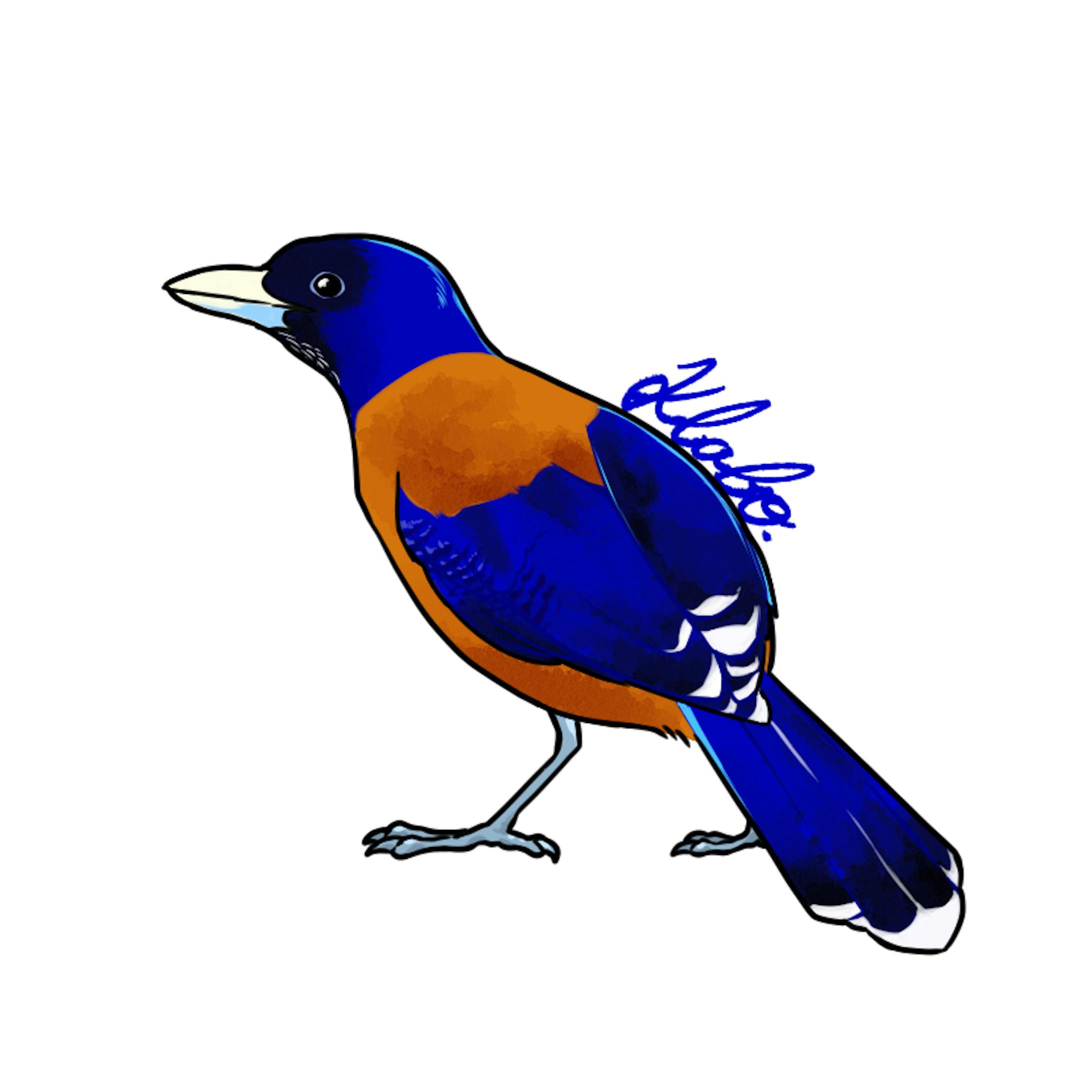 ルリカケス