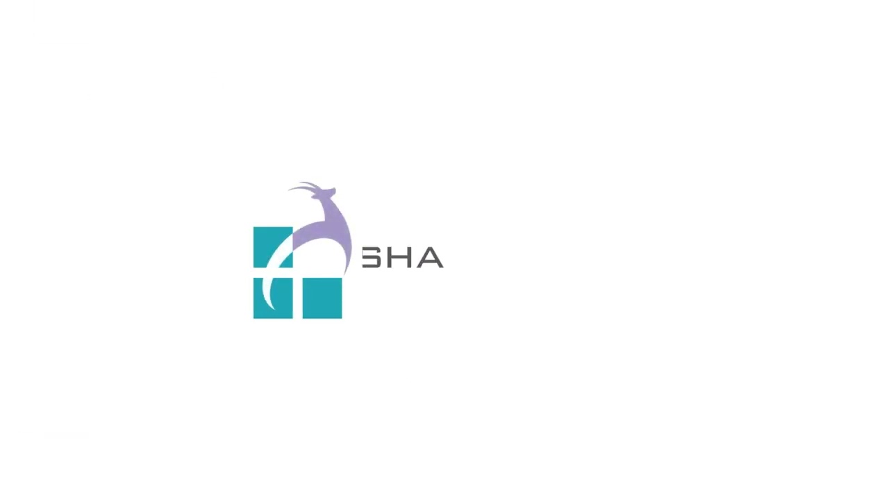 original、logo animation