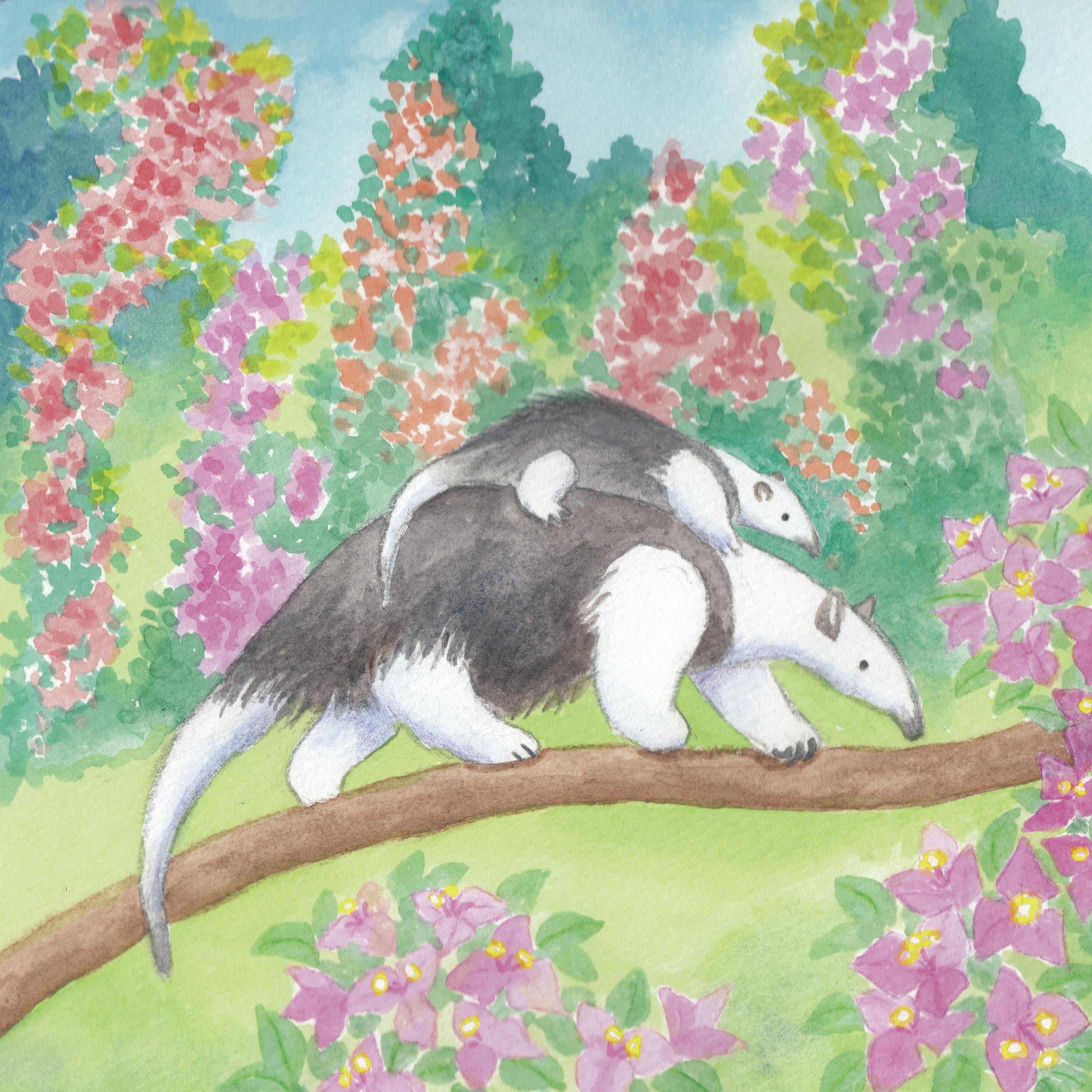 ミナミコアリクイおやこ-1