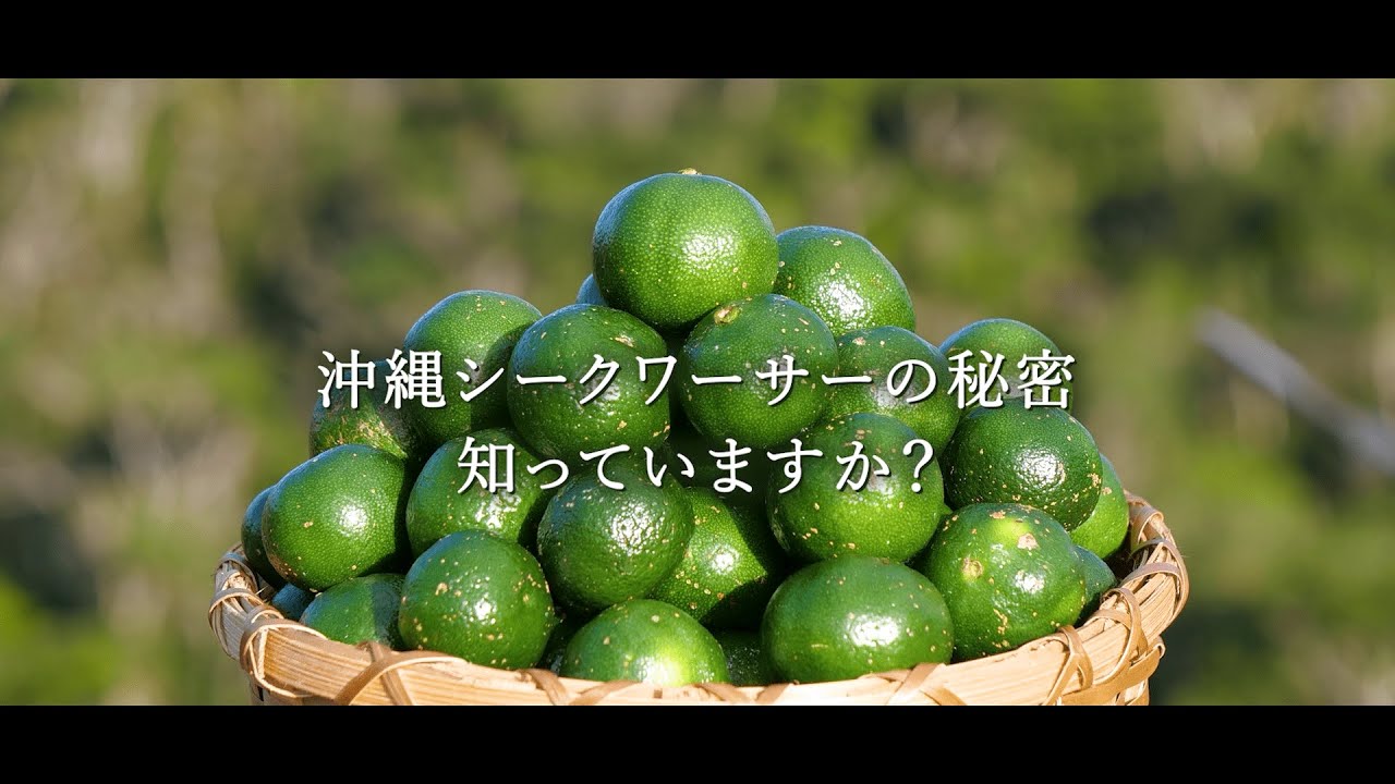 依頼、サービス