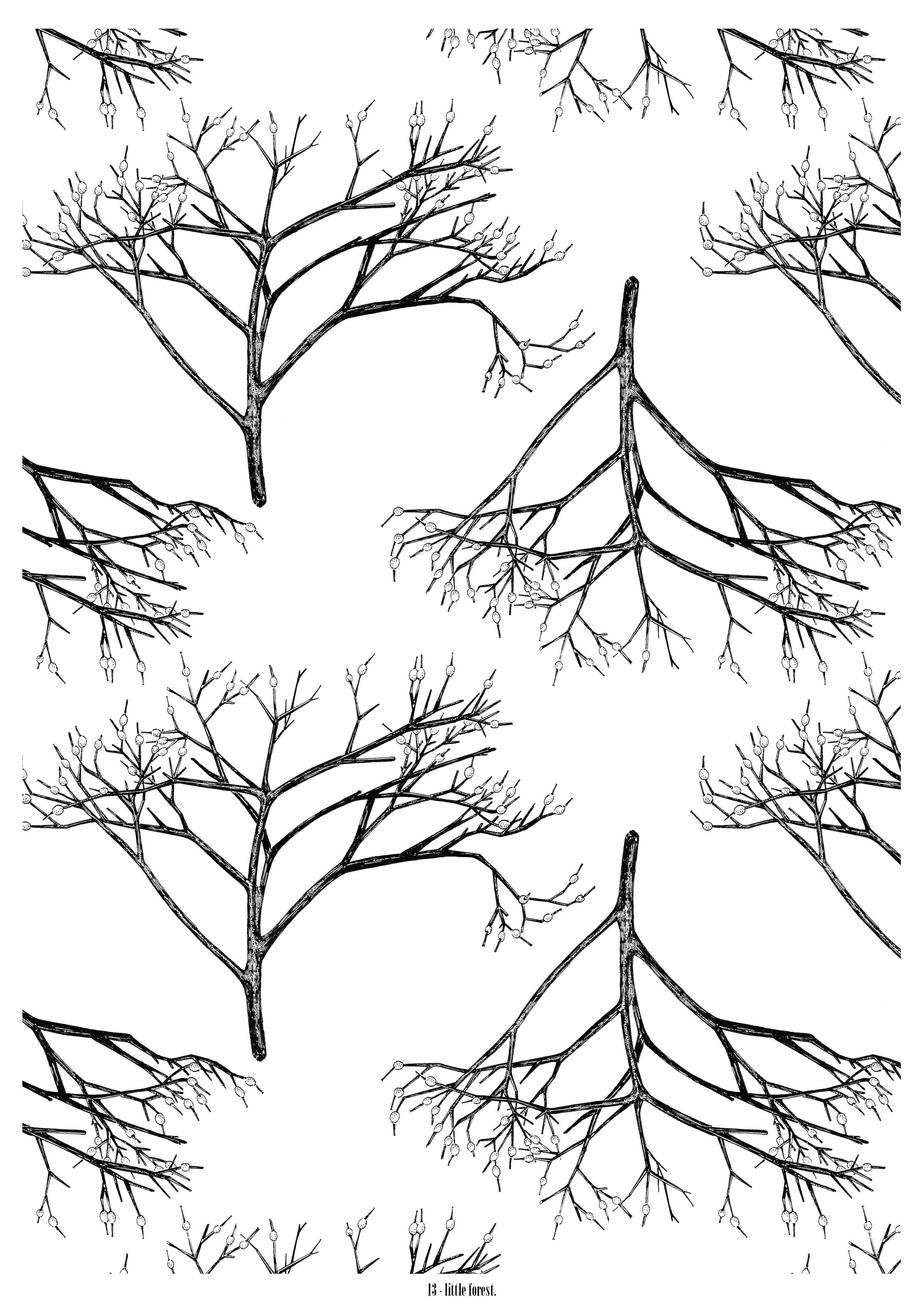 13_little forest.-1