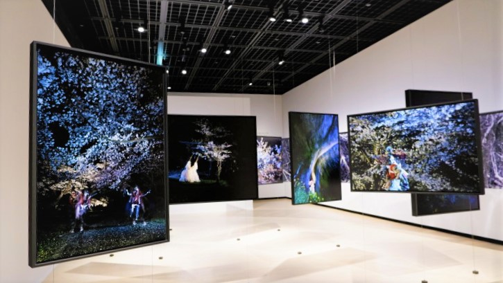 あしたのひかり 日本の新進作家 vol.17／展覧会レポート | OBIKAKE（おびかけ）