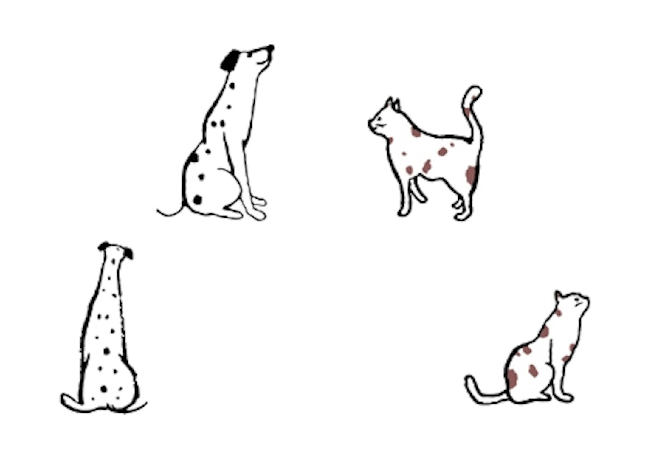 動物病院紹介ページのイラスト