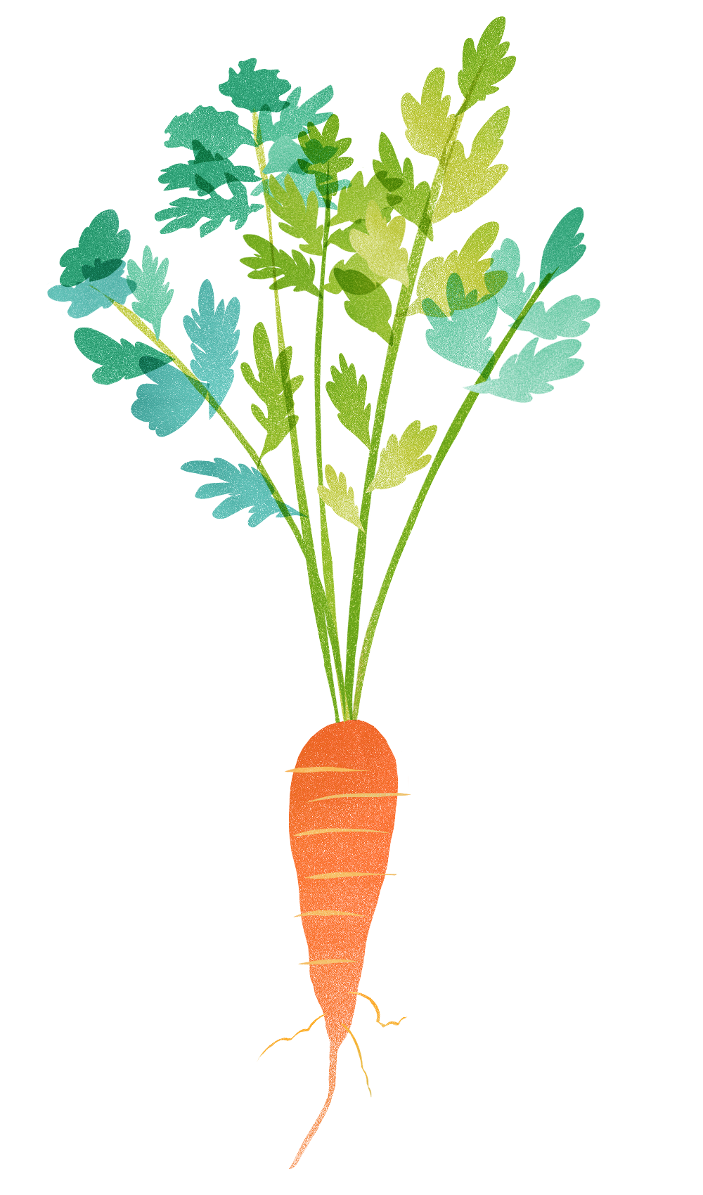 食べ物イラスト＋デザイン-1