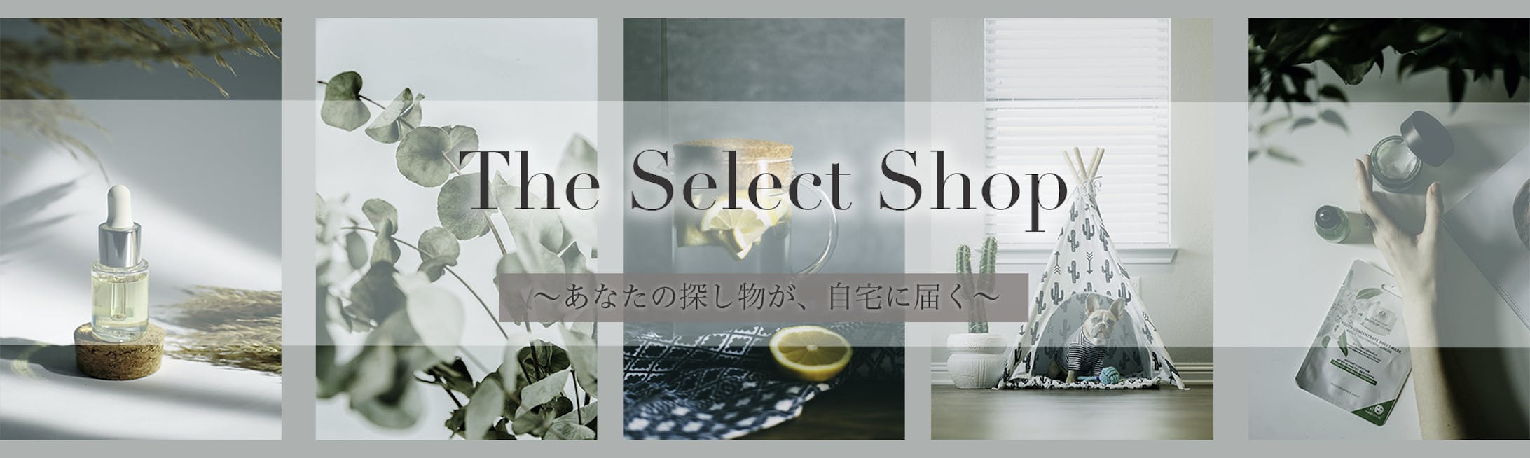 Webshop-1