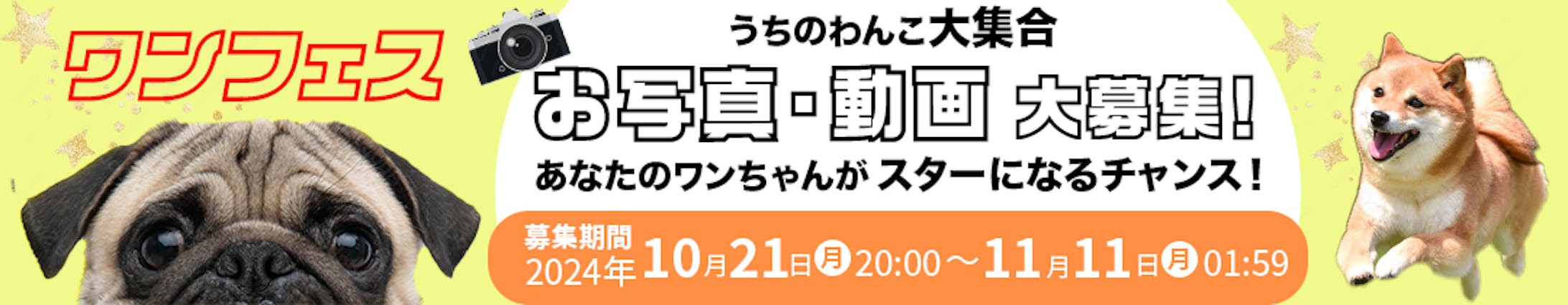 ワンフェスバナー-1