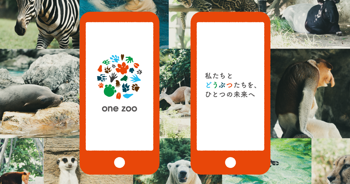 uzukishimamura、ショート