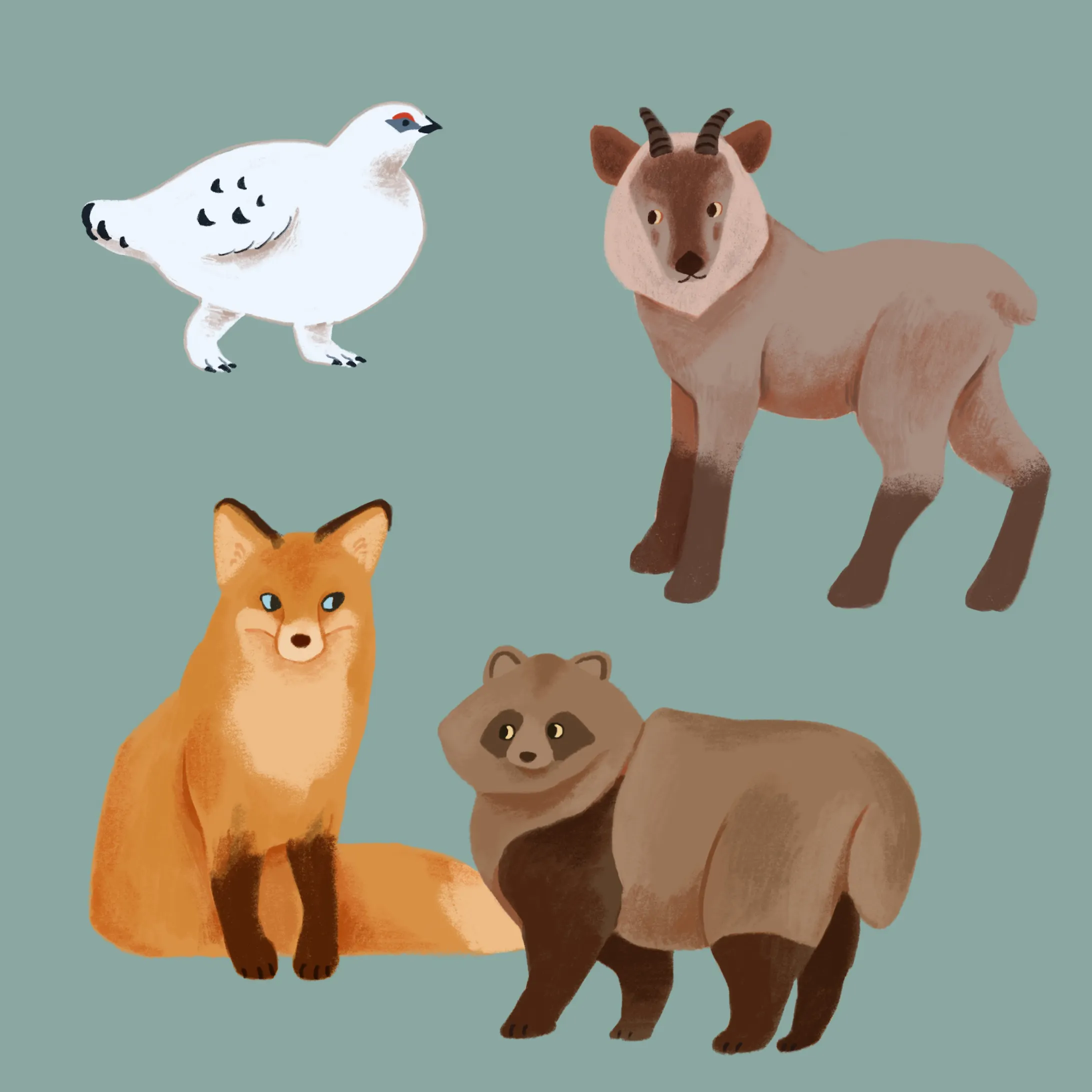 動物園園内マップ 各動物イラスト