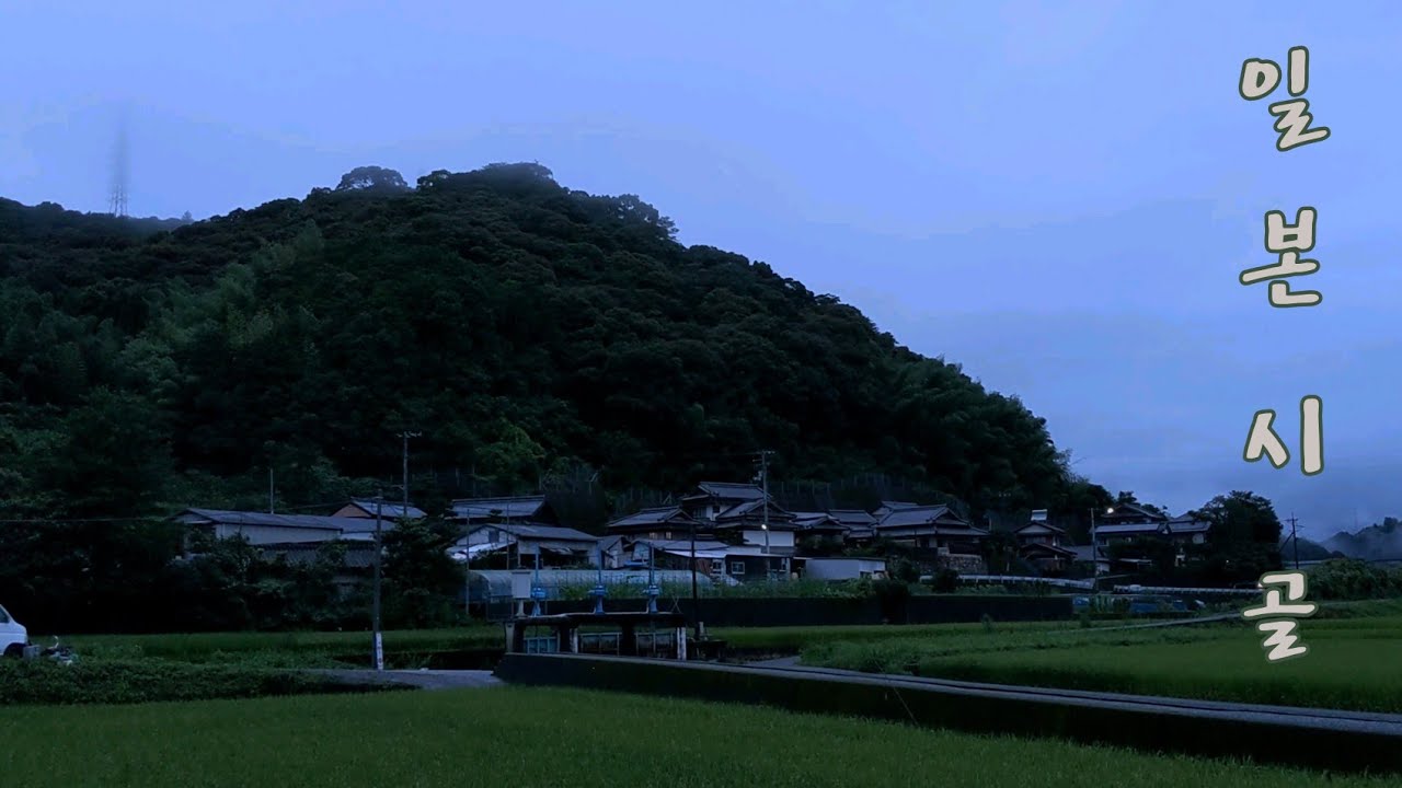 【일본시골】고치현 / 오랜만의 고향 브이로그 【day1】
