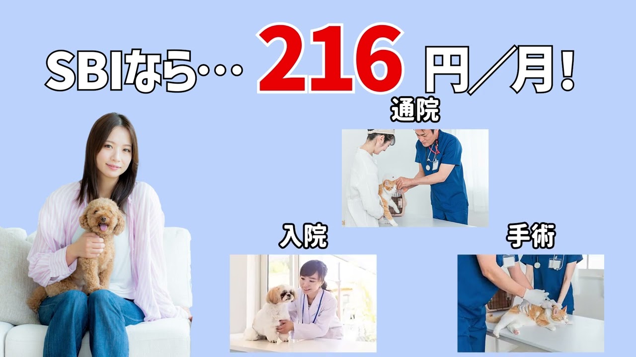 SBI15秒CM　自主制作