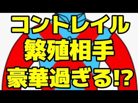 tcg、＊youtube＊