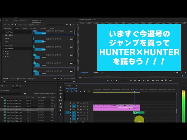 趣味、テロップ
