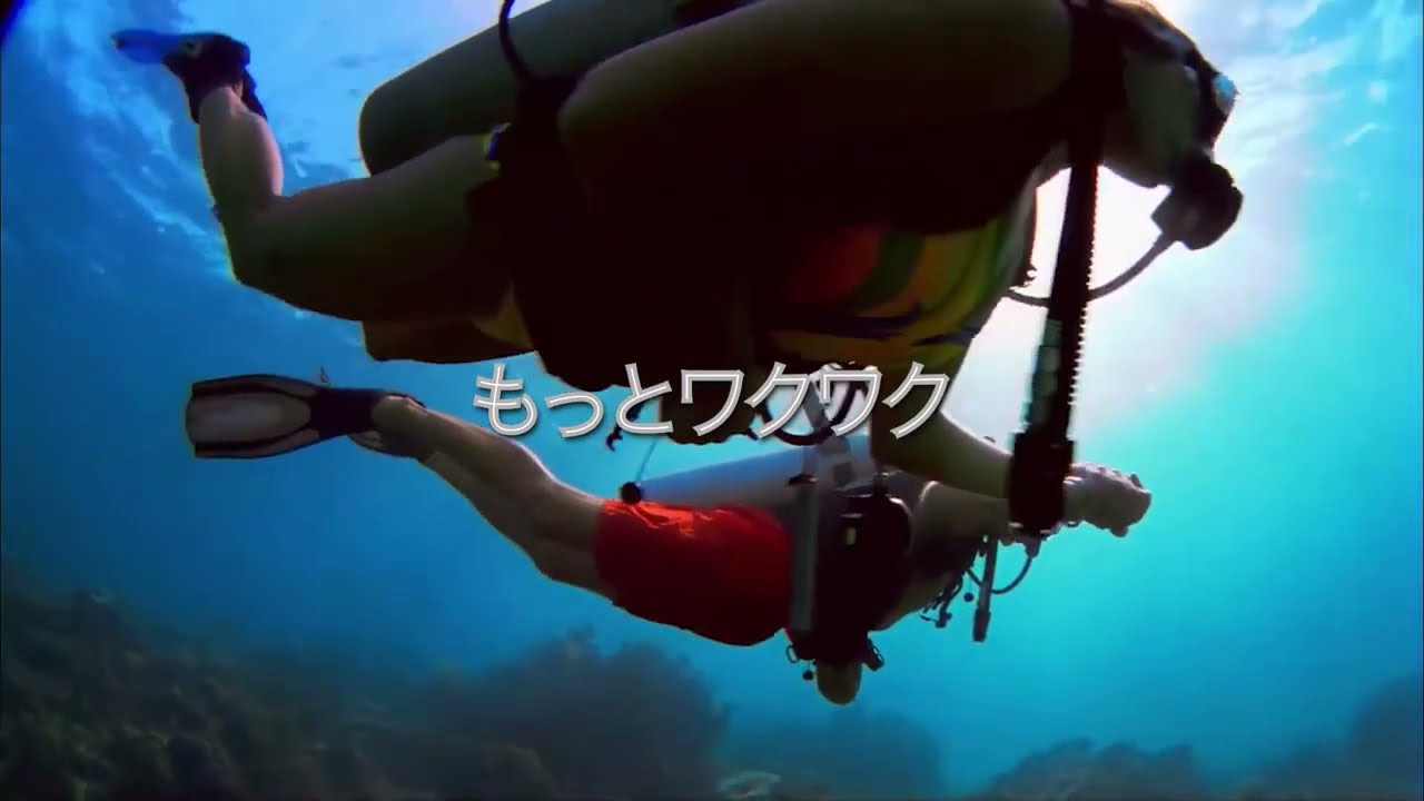 エディター、案件