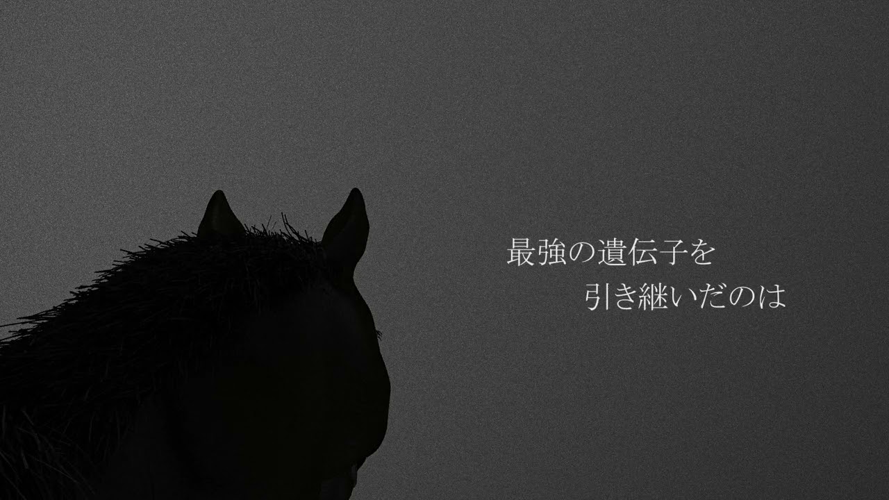 競馬のCM風