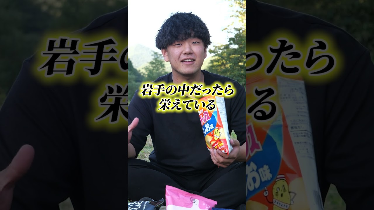 【観光大使】岩手の梅くん