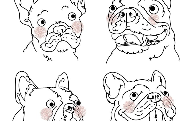 four expressive French bulldog faces