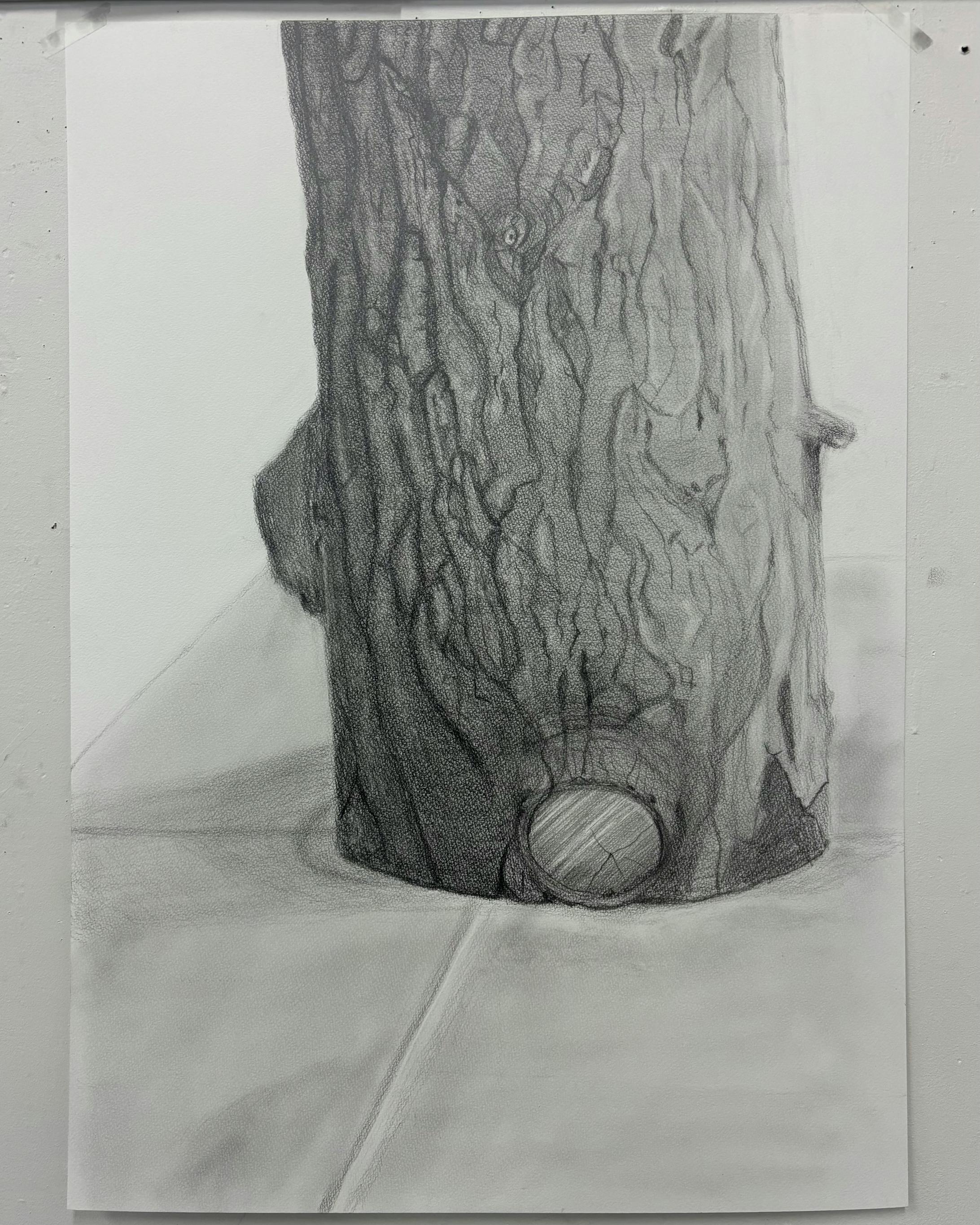 丸太のデッサン-1