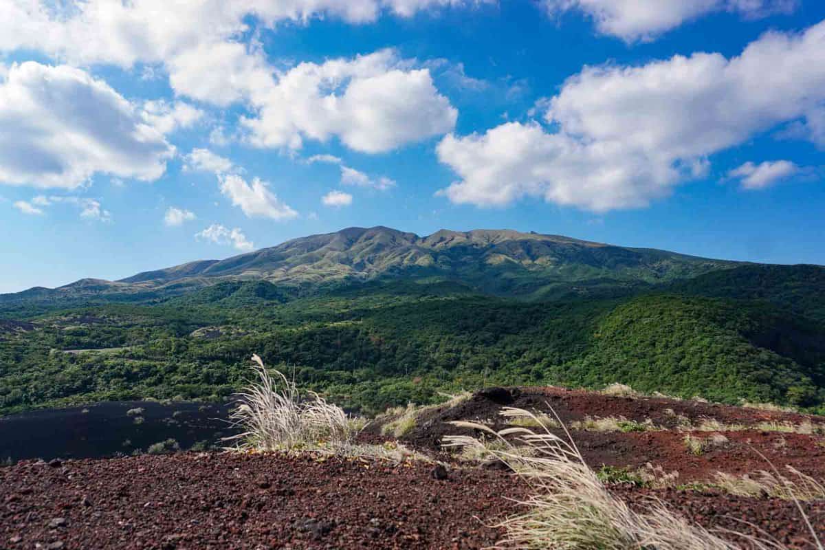【前編】三宅島でリセット＆リブート！火山が生んだむき出しの自然と、島の魅力を巡る旅 ｜ 東京ルッチ