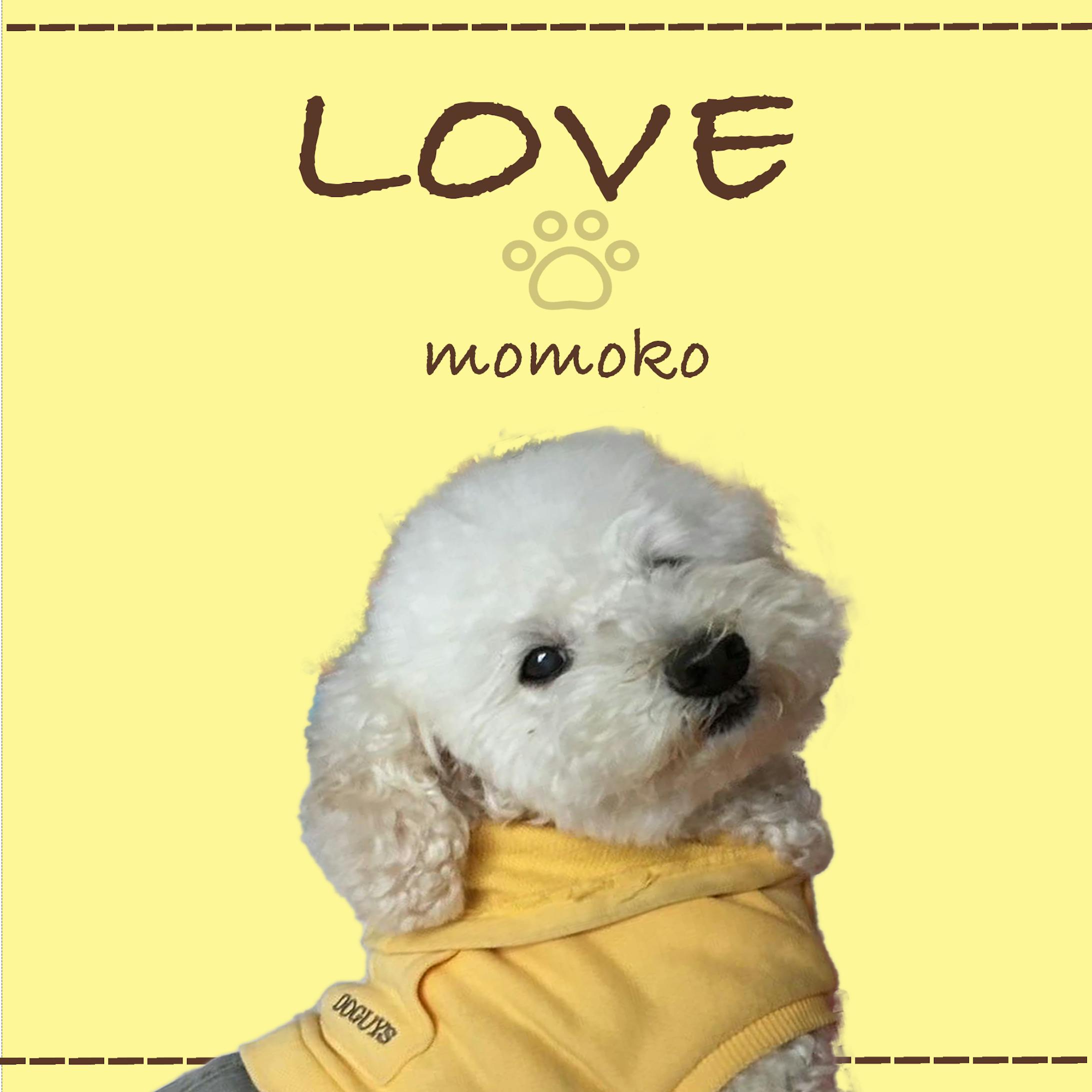 モバイル背景画像制作-1