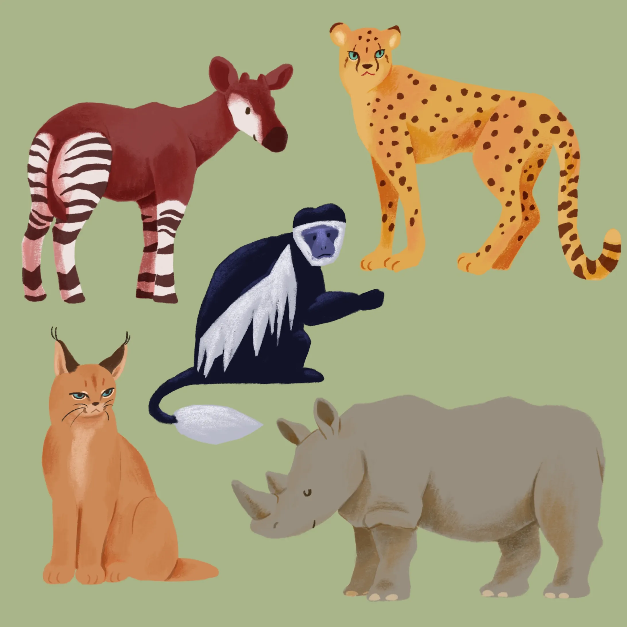 動物園園内マップ 各動物イラスト