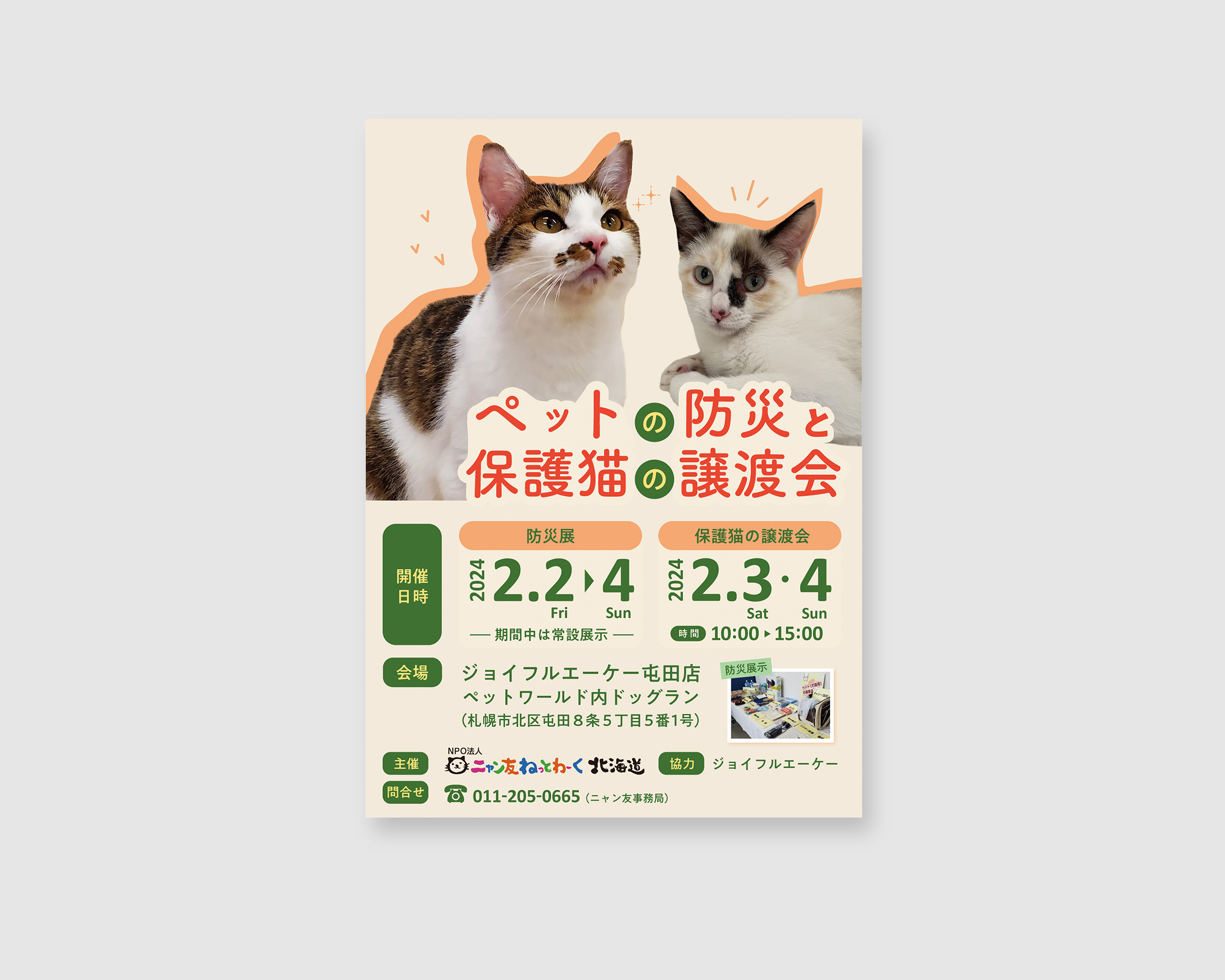 【実績】保護猫の譲渡会フライヤー-1