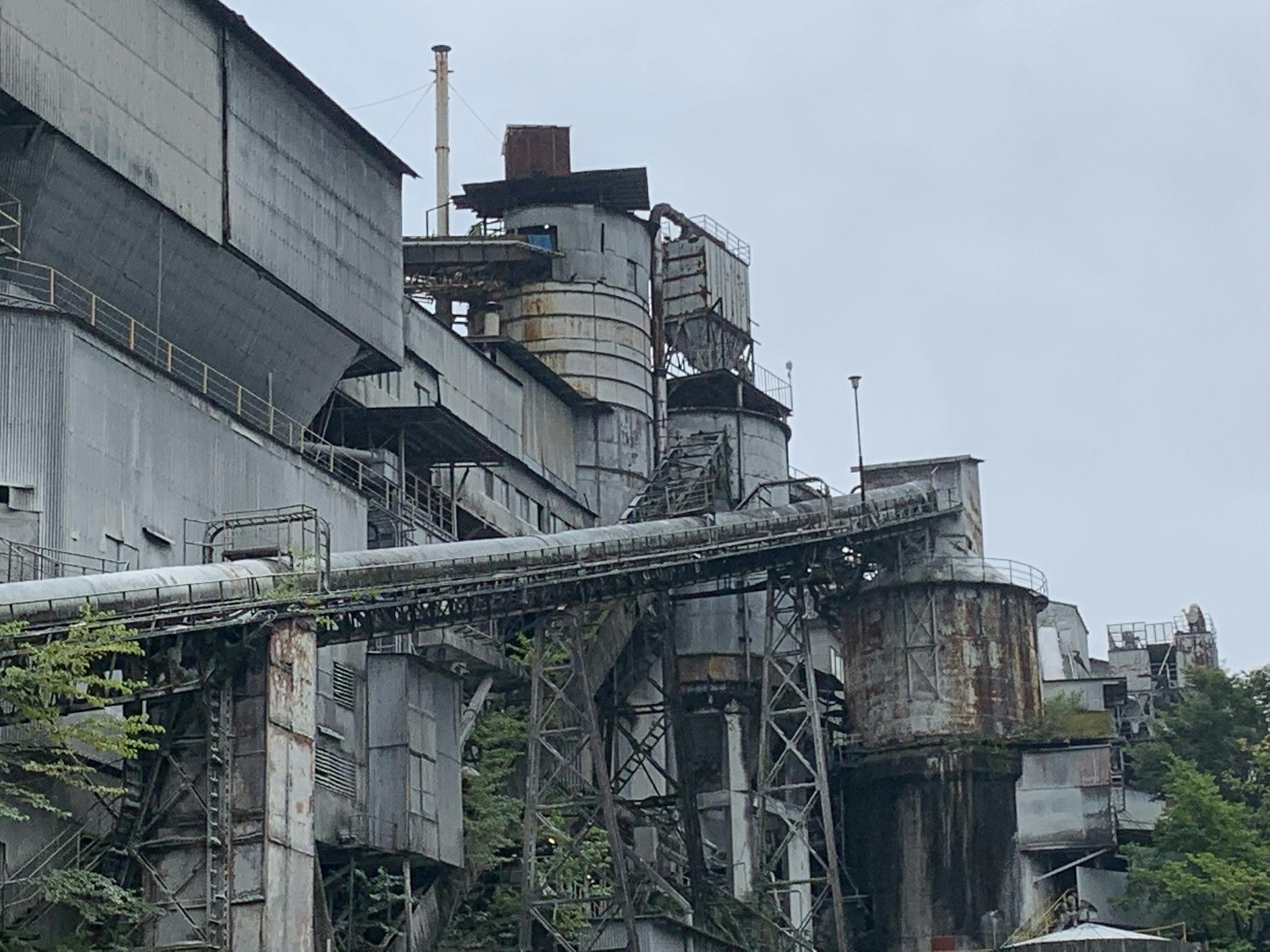 この緻密な様子をどのように表現するか悩みました。