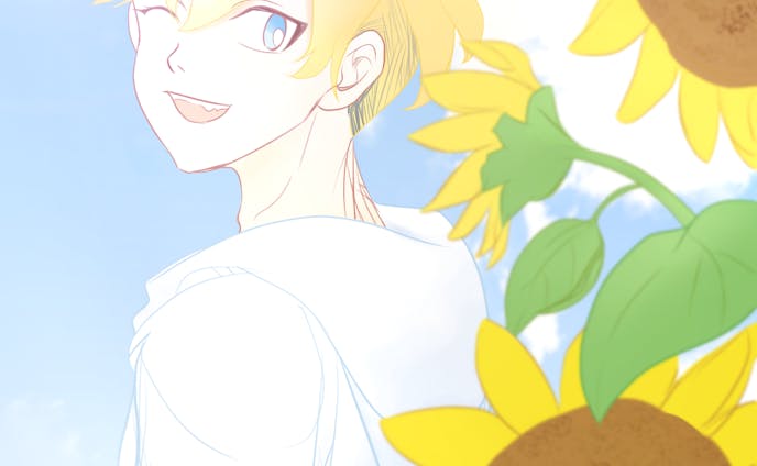 Chifuyu&Sunflowers