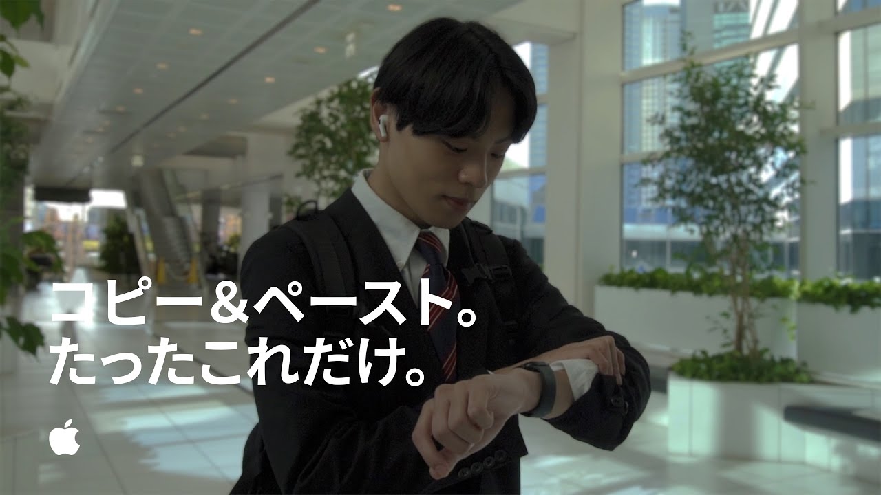 animator、apex