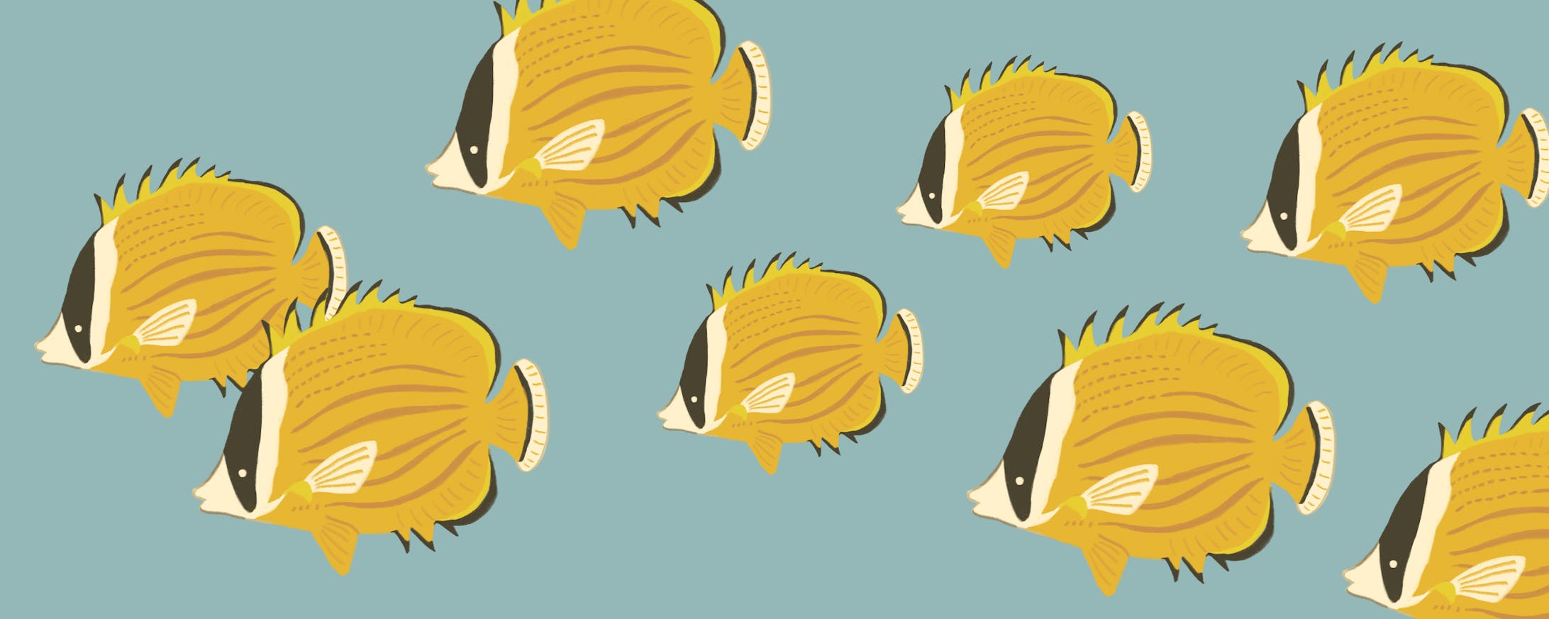 チョウチョウウオの群れイラスト チョウチョウウオの群れイラスト