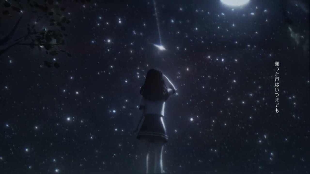 ポラリス 実績用