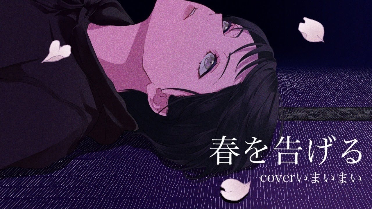 映像クリエイター、layout