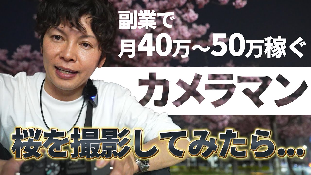 翻訳、編集