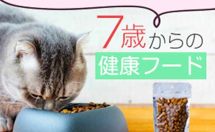 【架空】高齢猫の健康フードバナー