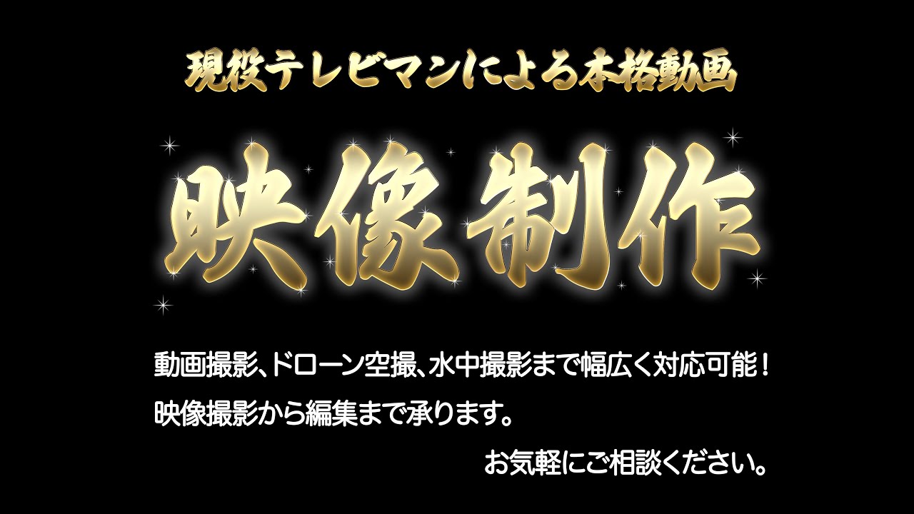 HAYASHIMARU プロモーション