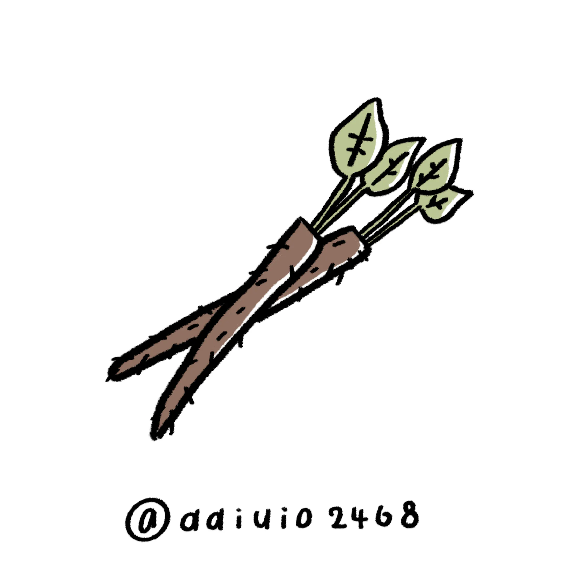 線はっきりイラスト