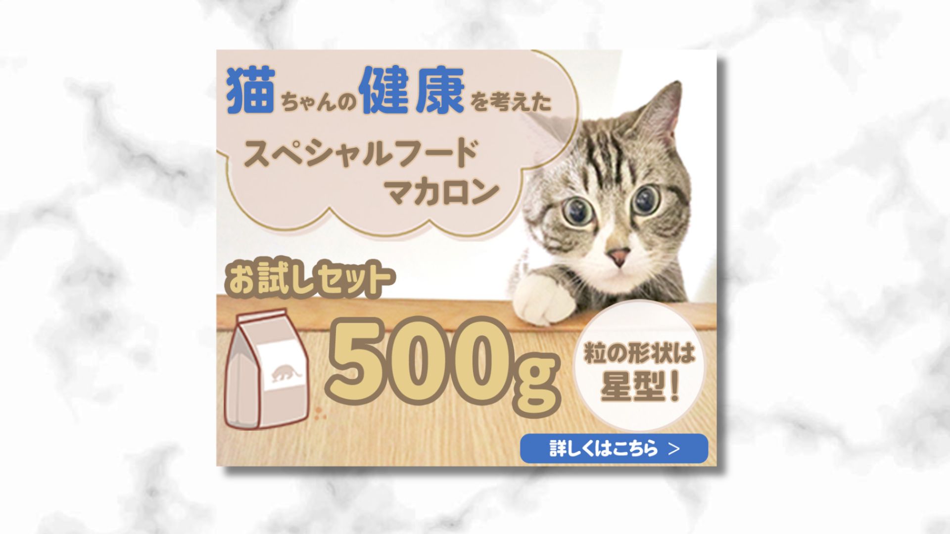 【自主制作】ポータルサイト用バナー：キャットフードお試し-1