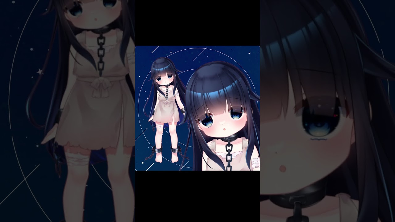 制作実績、live